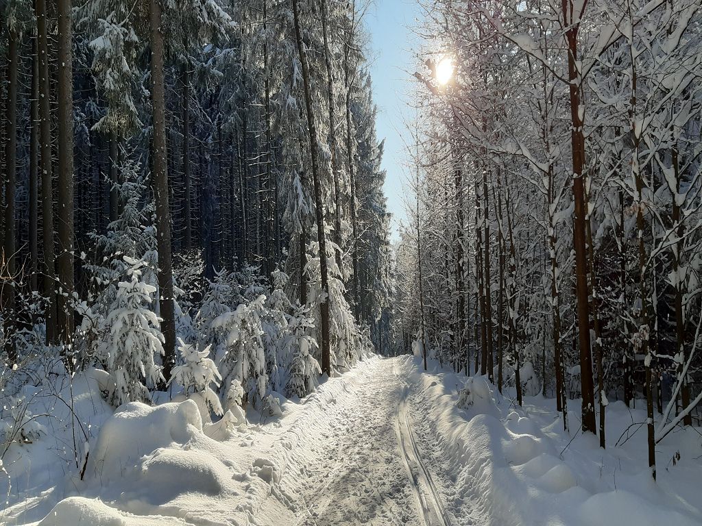 Wintertraum