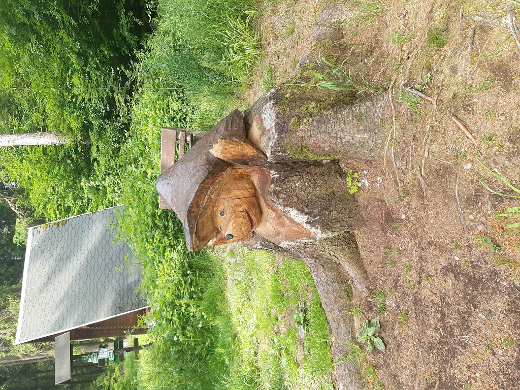 Wandern im geyerschen Wald